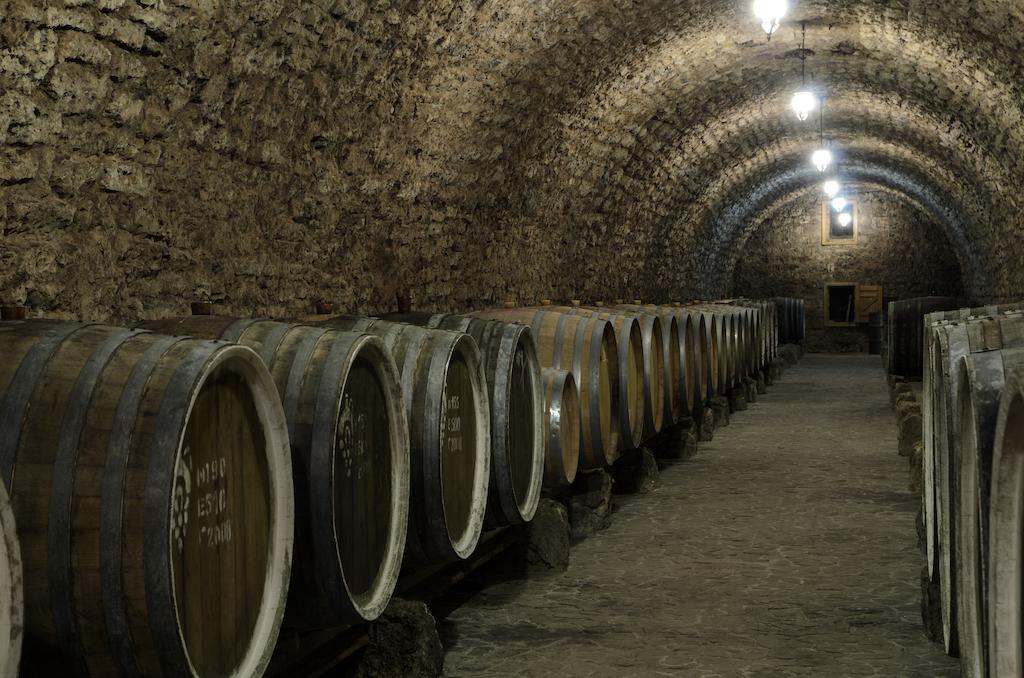 فندق Prince Trubetskoi Winery نوفا كاخوفكا المظهر الخارجي الصورة